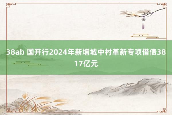 38ab 国开行2024年新增城中村革新专项借债3817亿元