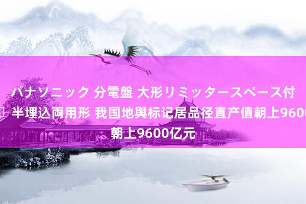 パナソニック 分電盤 大形リミッタースペース付 露出・半埋込両用形 我国地舆标记居品径直产值朝上9600亿元