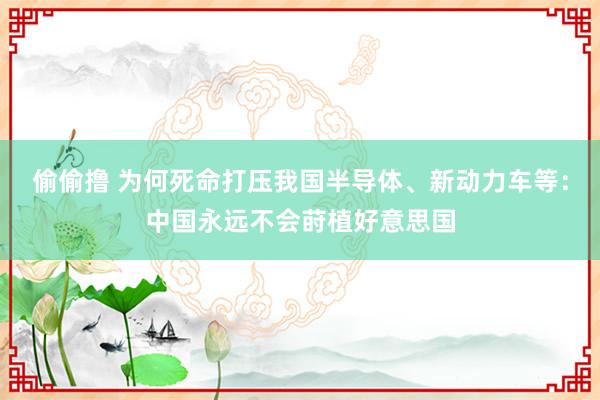 偷偷撸 为何死命打压我国半导体、新动力车等：中国永远不会莳植好意思国