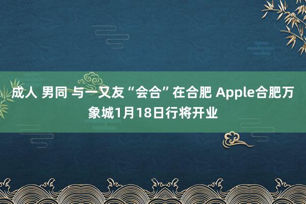 成人 男同 与一又友“会合”在合肥 Apple合肥万象城1月18日行将开业