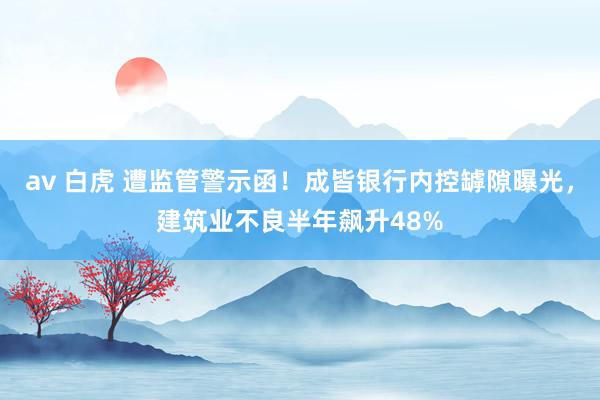 av 白虎 遭监管警示函！成皆银行内控罅隙曝光，建筑业不良半年飙升48%