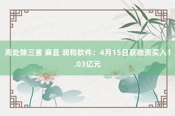 周处除三害 麻豆 润和软件：4月15日获融资买入1.03亿元